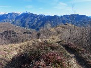 Alla Madonnina del Costone (1195 m) da Salmezza con tanti fiori-25mar24-FOTOGALLERY